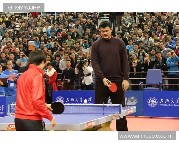 聚焦乒乓球：杭州乒乓球队的战术话题